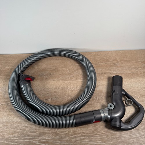 Dyson big ball cinetic - dyson, animal